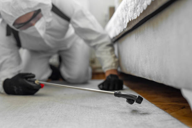 Professional Bed Bug Control technician working in Vandalia, IL