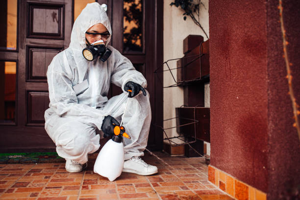 Reliable Bed Bug Control contractor in Vandalia, IL by Nex Pest Control